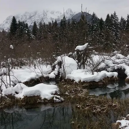 アパート Crystal Rose