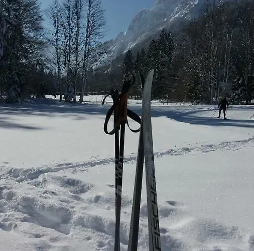 Apartment Crystal Rose *