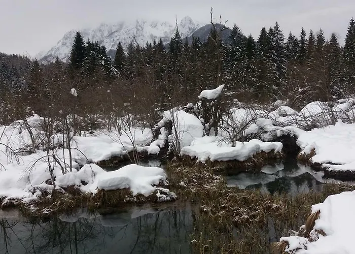 Apartment Crystal Rose