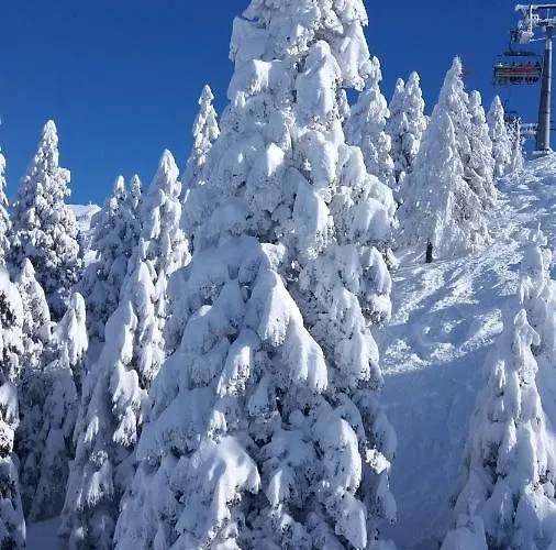 Apartment Crystal Rose *